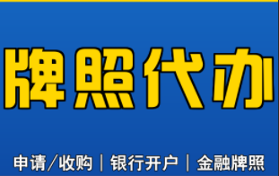 美国MSB牌照代办全流程指南